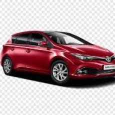 Auris