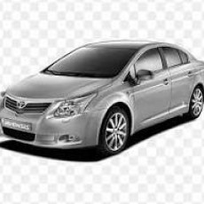 Avensis