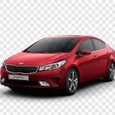 Cerato Cerato