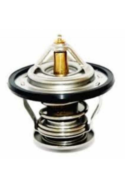 Termostat Accent 95- Bongo Pregio Carnival Cobra - 2550022000