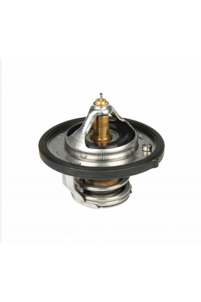 Termostat Blue Elantra I10 I20 Ix20 Ix35 I30 Cerato 255002B000