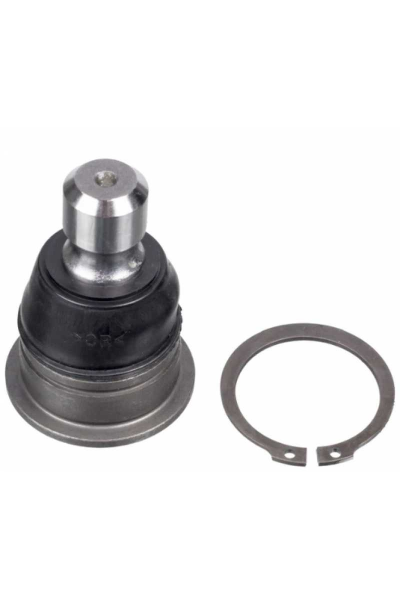 Rotil Alt Qashqai 08-