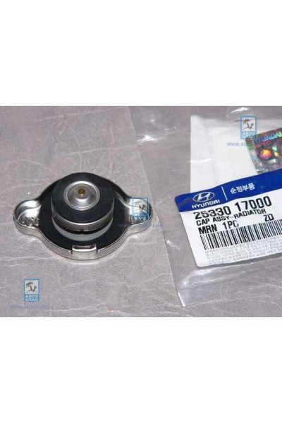 Accent Era Mi̇lenyum Admi̇re Blue İ20 İ30 Radyator Kapagi 0,9