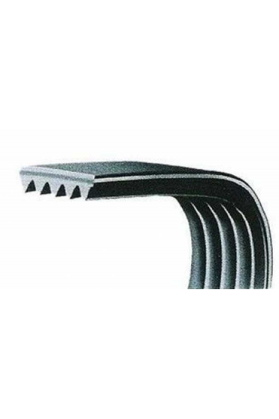 5Pk1236Sf Elasti̇k V Kayis Hyundai İ20 Ki̇a Ri̇o