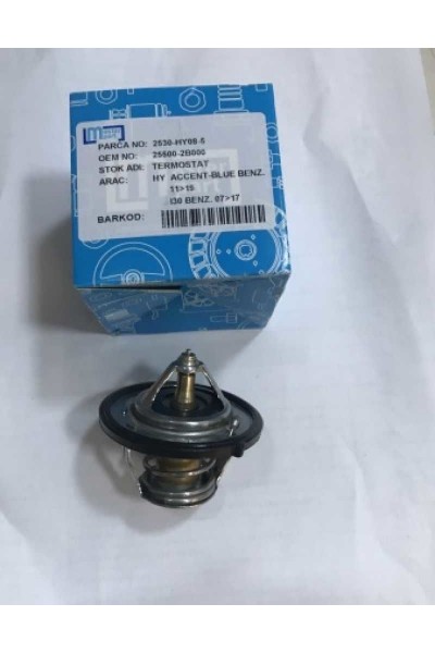Accent Blue İ30 Elantra Ceed Termostat 07-17