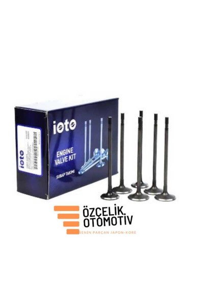 Subap Takimi 4 In 4 Ex Ni̇trasyonlu Bongo Pregi̇o